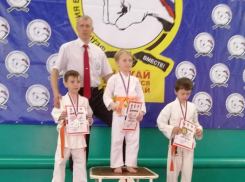 Почти 100 медалей завоевали волгодонские каратисты на Кубке Дона 