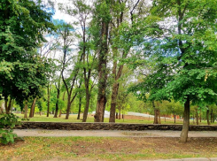 До +21 градуса прогреется воздух в Волгодонске сегодня 