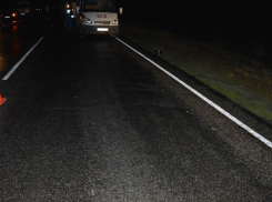  Под Волгодонском сбили насмерть третьего пешехода за неделю