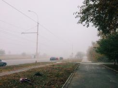 Волгодонск ждет туманное начало недели