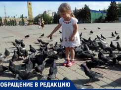  «Голуби тоже важны»: волгодончанка призвала устроить площадки для кормления птиц в центре города 