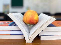 Отличное время для учебы: Центр «Study Time»* приглашает школьников за знаниями