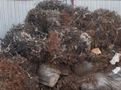 На помойку не неси, лучше денег получи: у волгодонцев скупают металлолом 