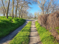 До +17 и солнце: о погоде в Волгодонске в среду 