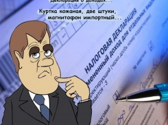 Волгодонских депутатов обяжут  декларировать свои доходы и  расходы