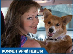 Отлов в Волгодонске существует уже много лет, но бездомных животных меньше не становится, - основатель организации «Делай добро» Алена Семина