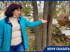 «Строительный мусор, животные отходы и сухостой»: волгодончанка о мульде на Степной