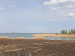 Грядет сушь: появился первый прогноз половодья на Цимлянском водохранилище и Дону в 2025 году