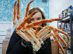 Такое не выловишь из Цимлянского водохранилища: какую рыбу и морепродукты можно найти в магазине «Берег вкуса»