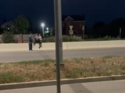 Беспечная мать с коляской рискует жизнью ребенка на оживленной трассе проспекта Лазоревого 