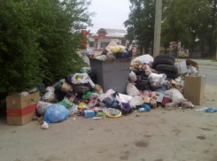 Стихийная свалка мусора образовалась на одной из главных транспортных магистралей Волгодонска 