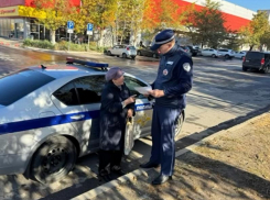 «Не будь ребенком на дороге!»: Госавтоинспекция напомнила пожилым волгодонцам правила безопасности 