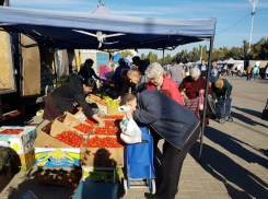 На площади Победы развернулась ярмарка «выходного дня»