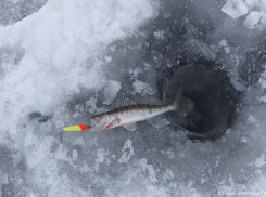 Рыбак утонул в Волгодонске недалеко от порта 