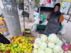 Незаконные ларьки и рынки закрывают в Волгодонске: началась активная борьба с «торговлей с земли»