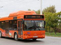 Дачникам на заметку: бесплатный проезд к участкам начнется только с 1 апреля