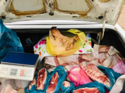 В числе лидеров по количеству административных нарушений в 2023 году оказался Волгодонск