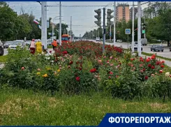 Оглянуться не успели: как Волгодонск прожил сумасшедшие две недели июня 