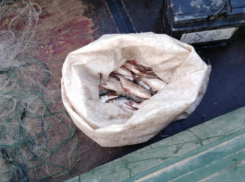 Два года тюрьмы грозит волгодонцу за незаконную добычу рыбы на 7 тысяч рублей 