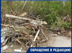 «Кто-то себе дачу вычистил, а другим загадил!»: садоводы возмущены отношением соседей