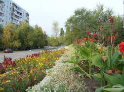 В Волгодонске на выходных будет тепло и солнечно