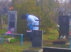 На кладбищах Волгодонска появились опасные токсичные ловушки
