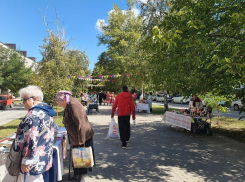 В Волгодонске насчитали более 6 тысяч одиноких бабушек