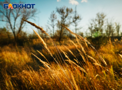 Тепло и немного ветрено будет в Волгодонске во вторник 28 мая