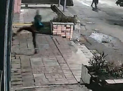 «Солевой» стрейнджер ночью подрался с деревом, разбил витрину музея и кричал неприличное о полиции