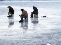 Снег с дождем и тонкий лед не помешали волгодонским рыбаками целый день сидеть на заливе