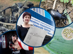 Скандал в «Юноне», высыхание водохранилища, жуки-убийцы: главные новости Волгодонска за неделю