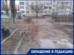«Сверху на нас сбрасывали огромные ветки»: волгодончанка призвала проверить квалификацию сотрудников «Уют-2»