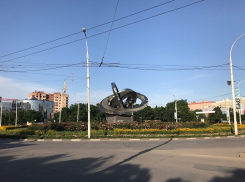 Туи у «Мирного атома»  и торгового центра погибли из-за нерадивого подрядчика