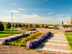 Лучшую городскую клумбу и ландшафтный дизайн выберут в Волгодонске 