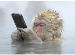 Как без проблем вызвать такси в новогоднюю ночь и во время праздников?