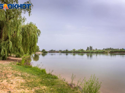 На главном городском пляже отдыхающие перестали употреблять алкоголь