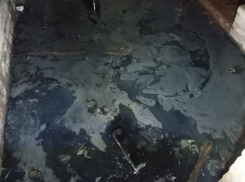 «Ищут управляющую компанию для «вонючего дома»: власти Цимлянска отреагировали на обращение жителей