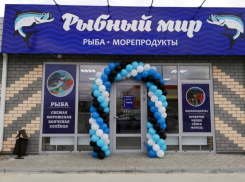 «Рыбный мир» открылся, чтобы сделать вашу жизнь вкусной