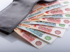 Названы предприятия с самыми высокими и низкими зарплатами в Волгодонске