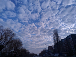 Сегодня в Волгодонске воздух прогреется до +15 градусов