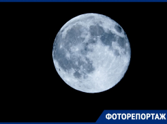 «Урожайная» Луна в Волгодонске: как прошло яркое суперлуние над  городом