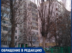 Десять месяцев во дворе Волгодонска не могут спилить сухие деревья