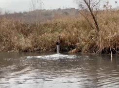 Областные власти обратили внимание на сброс сточных вод в реку Кумшак