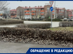 «Снегу бы припорошить землю, а на Мира еще листья не убрали»: волгодонцы