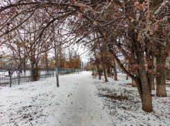 Сильный дождь со снегом обещают Волгодонску сегодня 