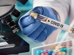 За сутки Covid-19 был выявлен у 8 волгодонцев