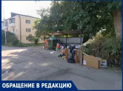 «Мусорка с горкой»: жильцы улицы Чехова бьют тревогу из-за исчезнувших контейнеров