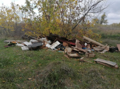 Борьба с четырьмя нелегальными свалками затянется до июля