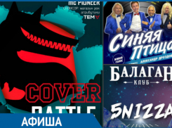 Музыкальная битва, новинки в кинотеатрах, выступление DJ, концерты ко Дню матери: что ждет волгодонцев на этой неделе