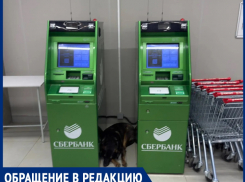 «Магнит» для бездомных собак: покупатели магазина на Энтузиастов, 50 возмущены засильем животных